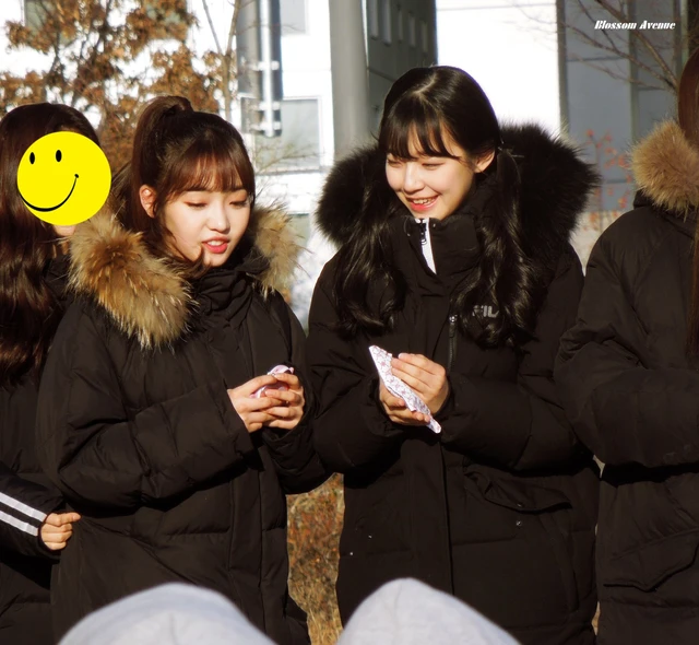 Jiheon