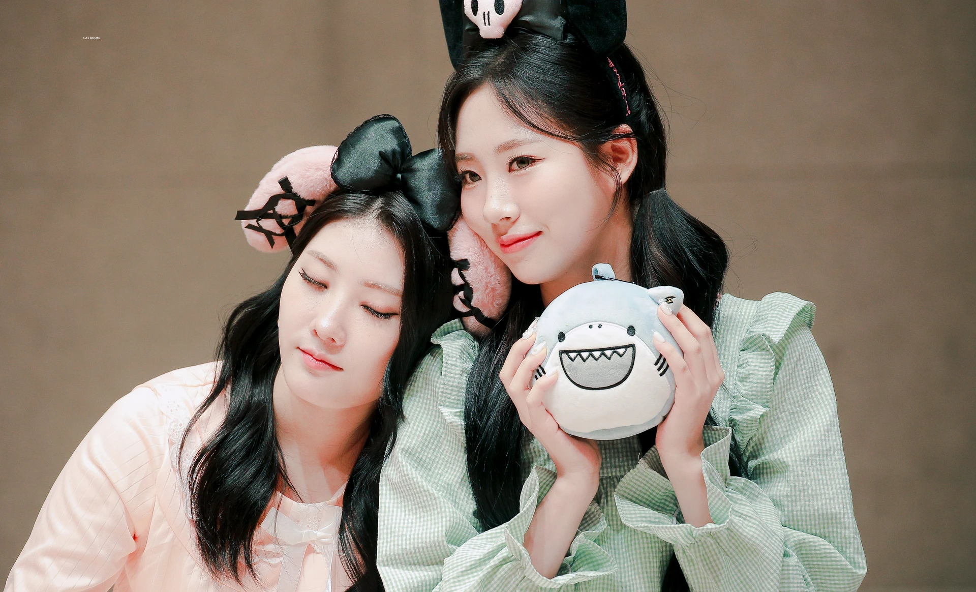 Chaein