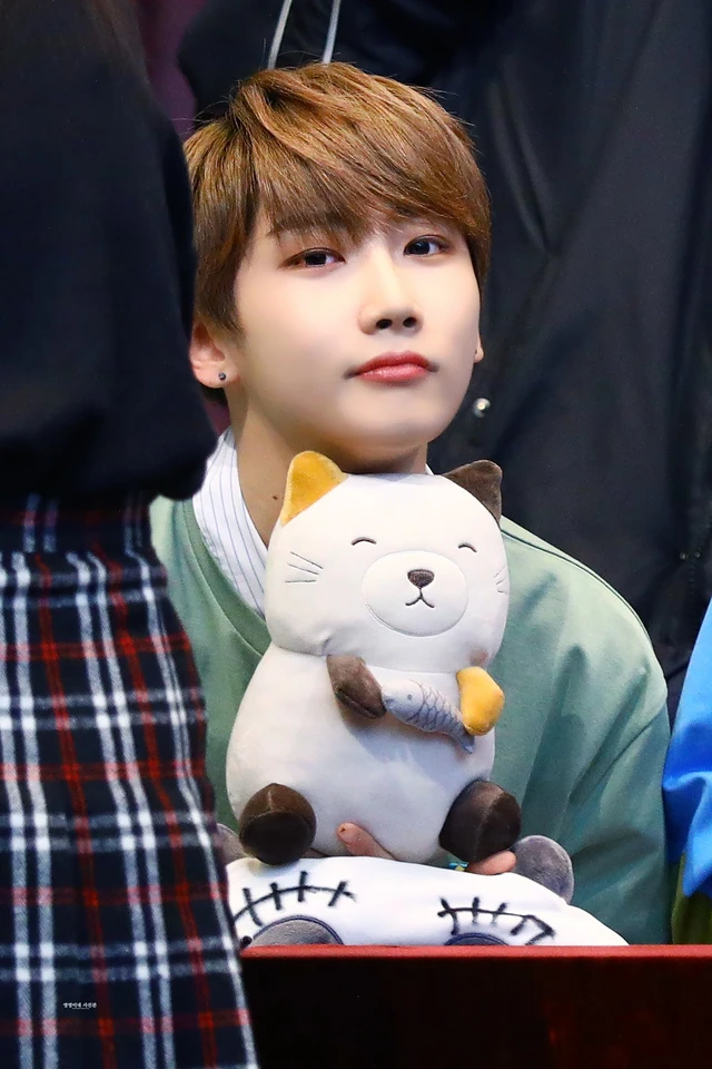 Hoyoung