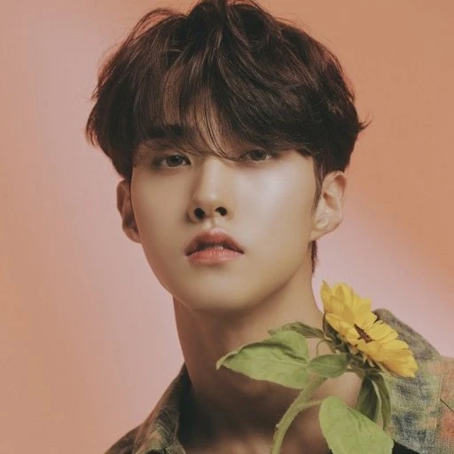 Yeo One