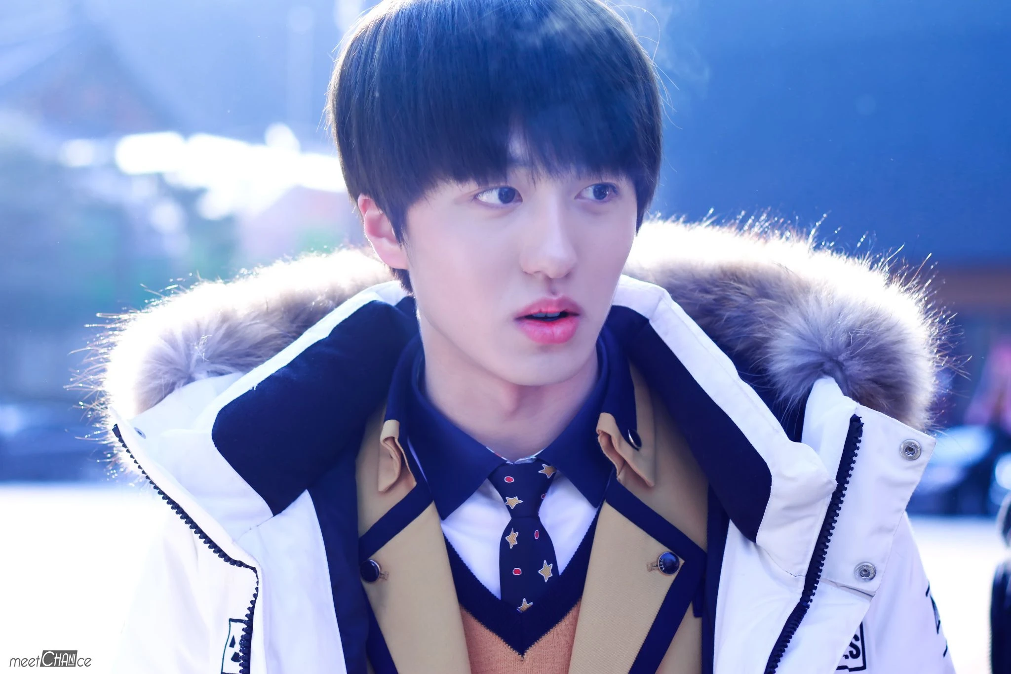 Chani