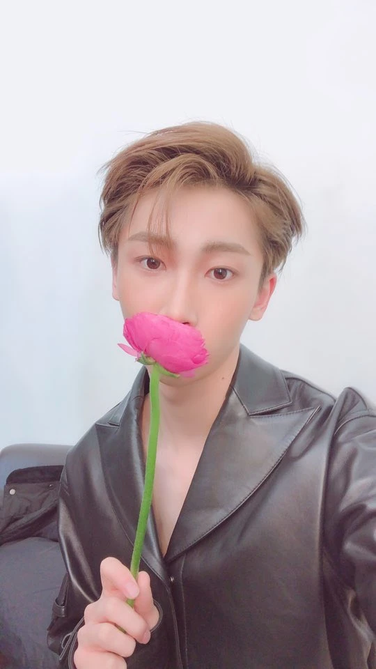 Hoyoung