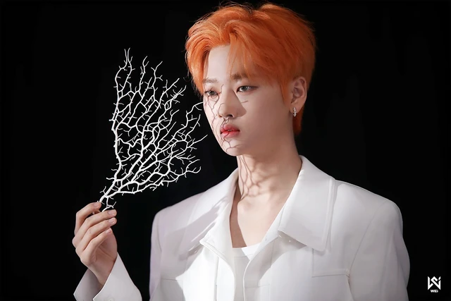 Seokhwa