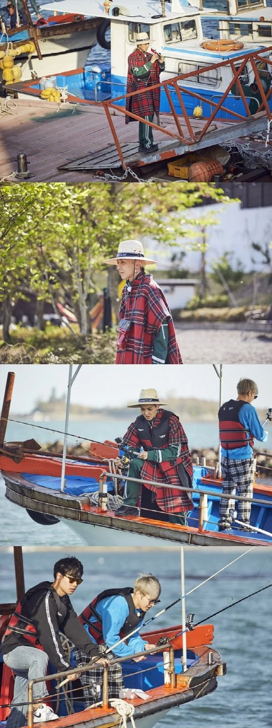Mino