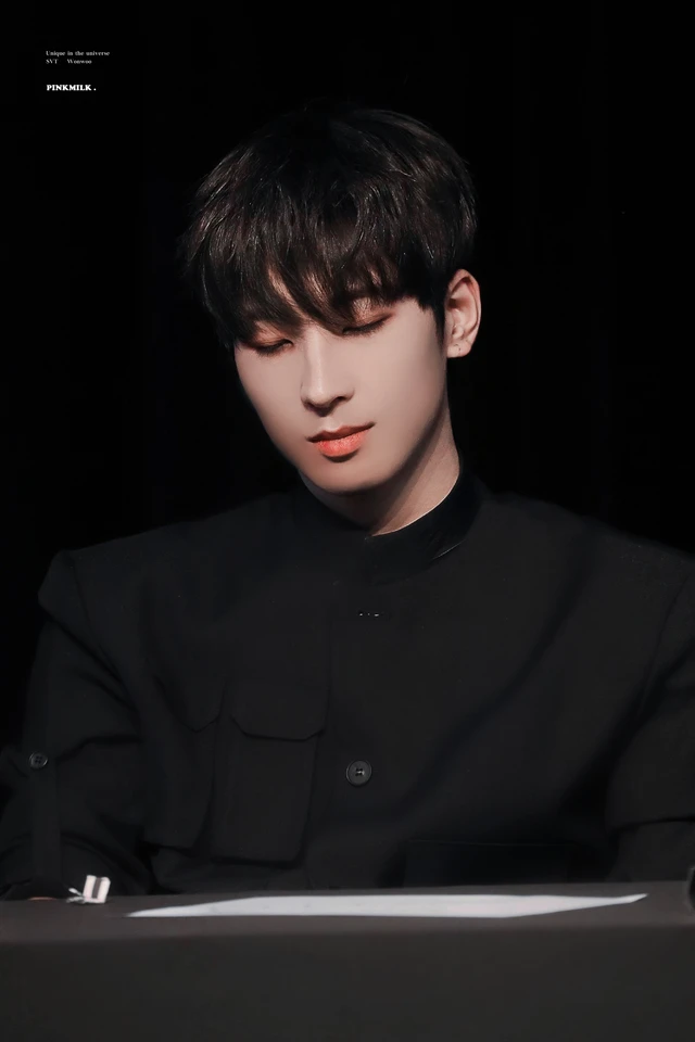Wonwoo