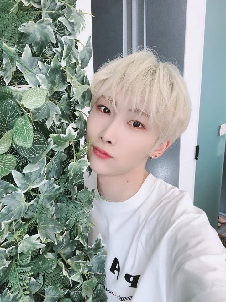 Hoyoung
