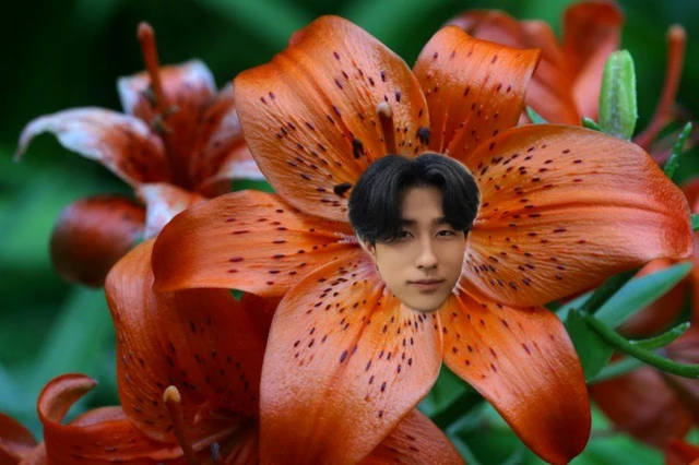 Harin