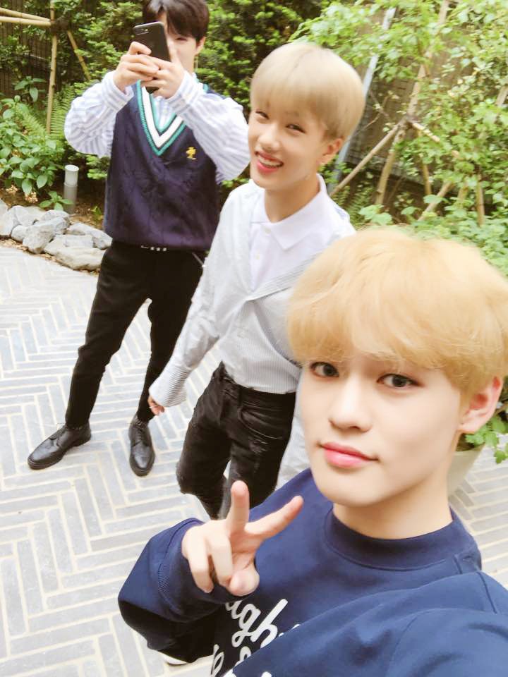 Chenle