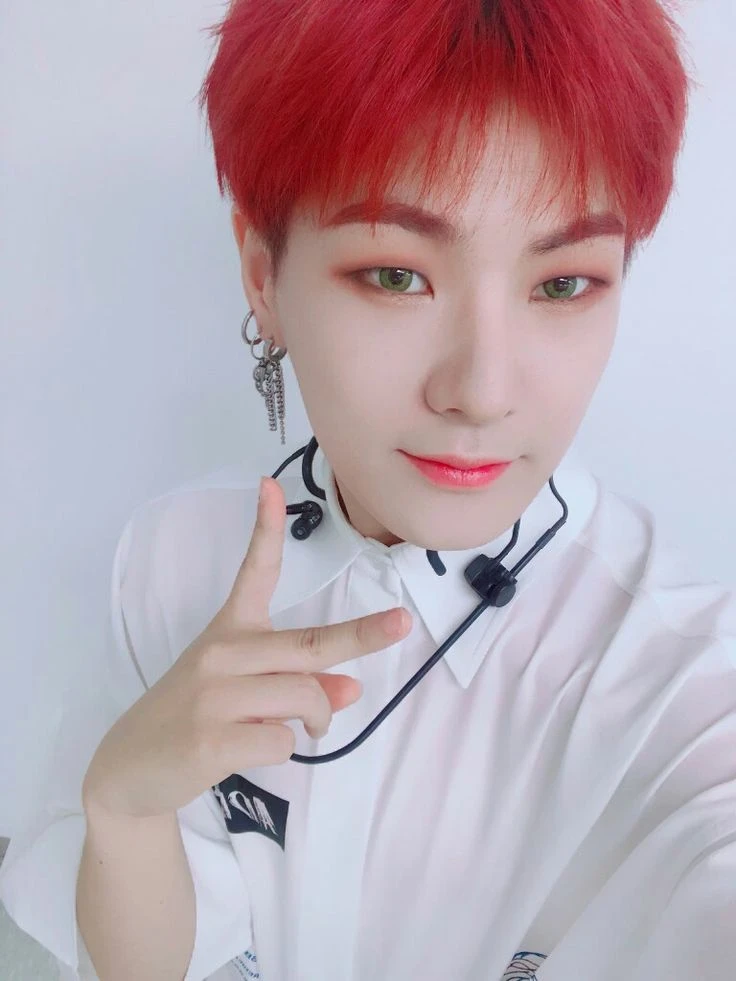 Hanse