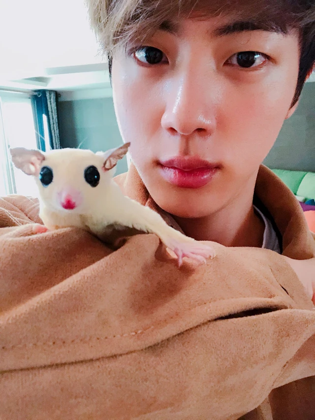 Jin