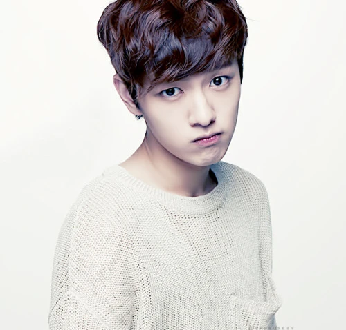 Shin