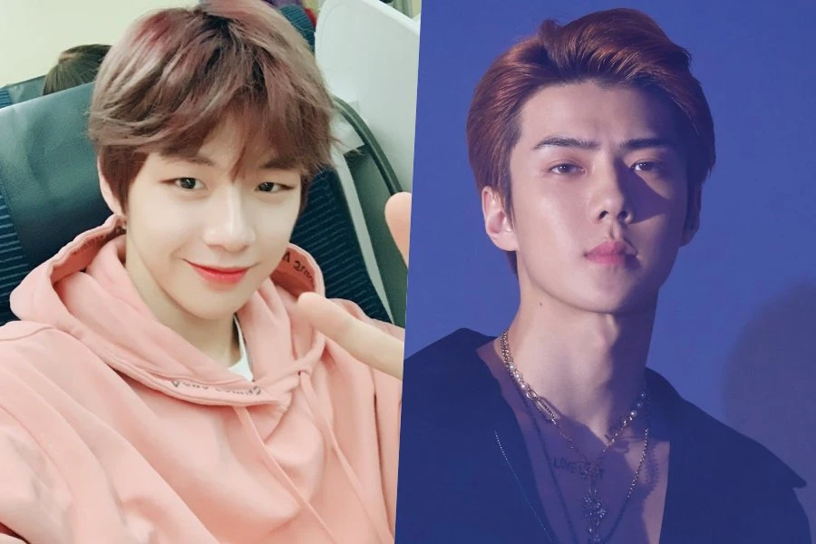 Exo-SC