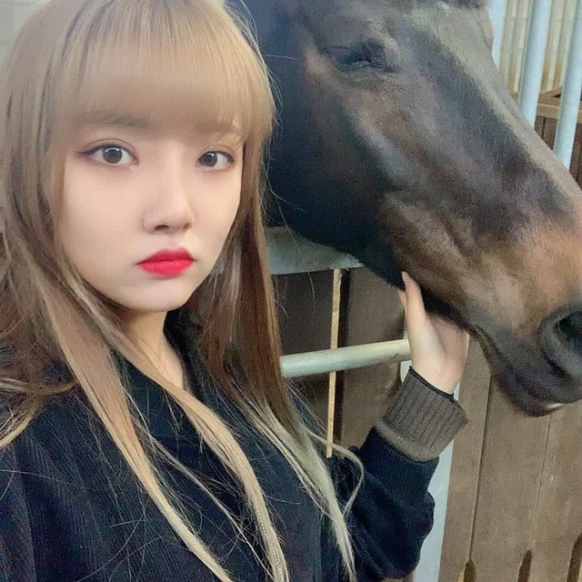 Arang