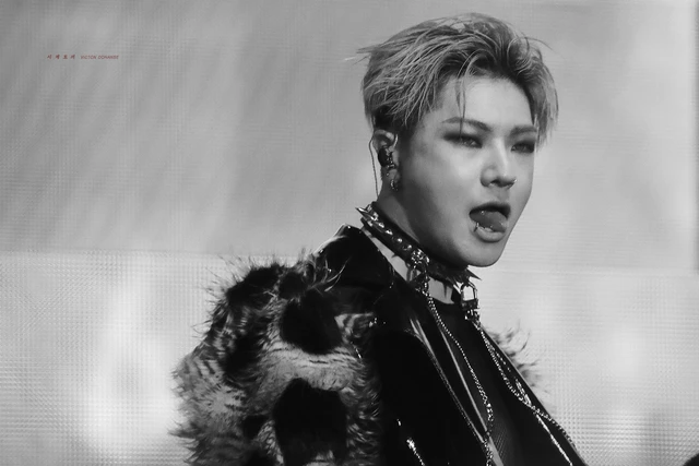 Hanse