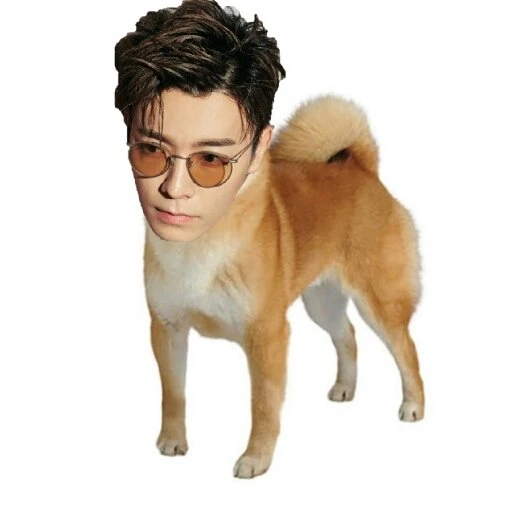 Donghae