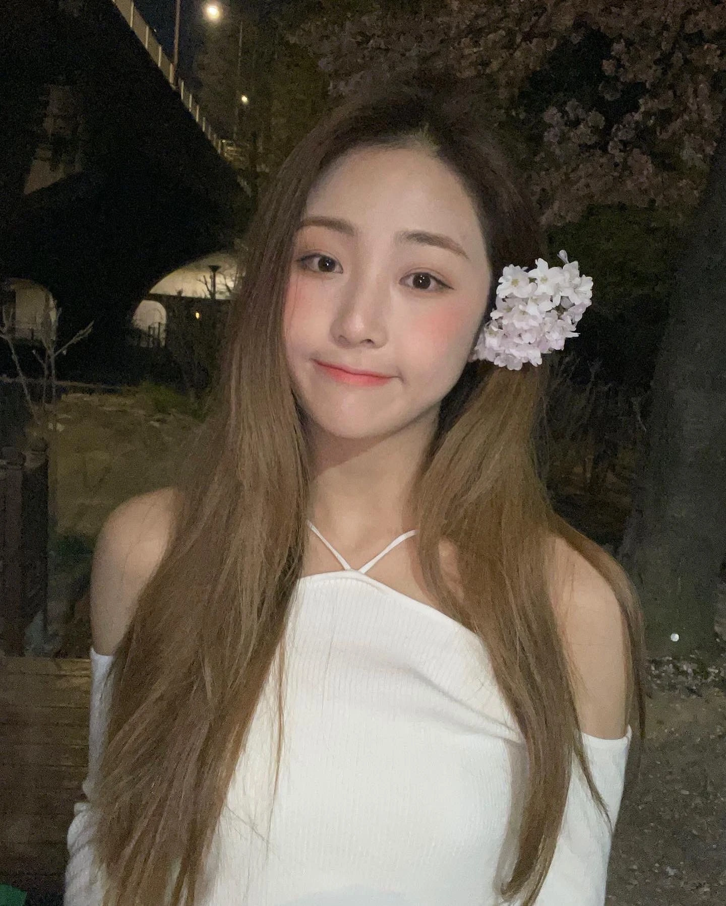 Dia
