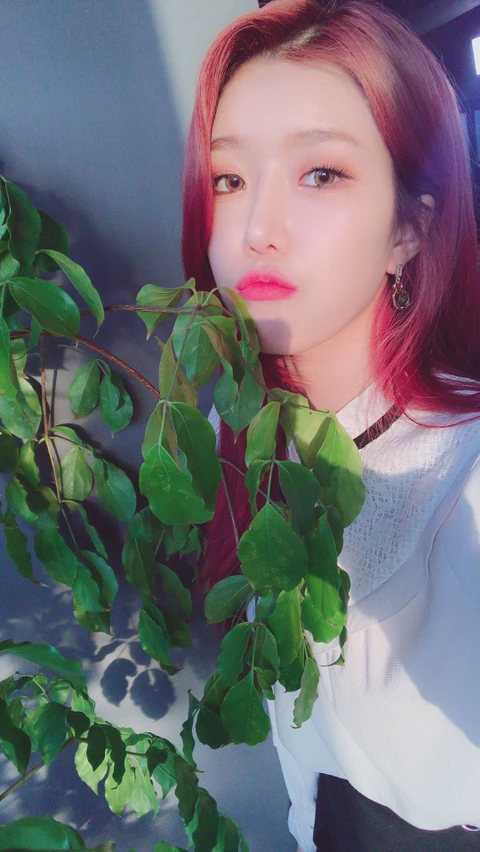 Dawon