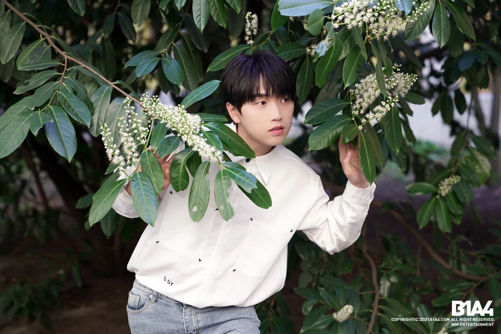 Sandeul