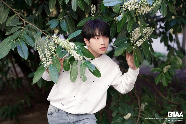 Sandeul