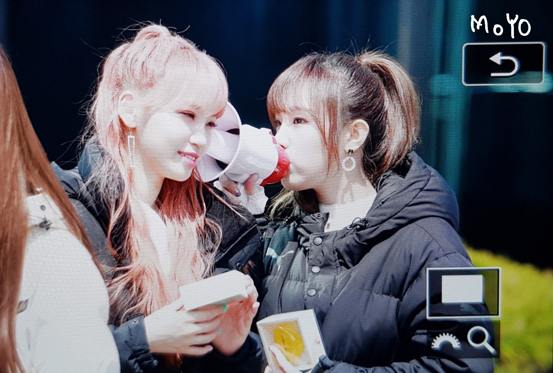 Pink Fantasy
