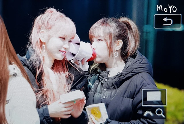 Pink Fantasy