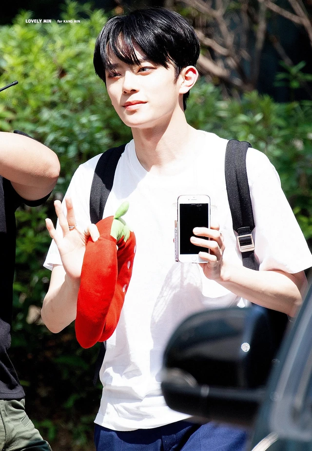 Kangmin