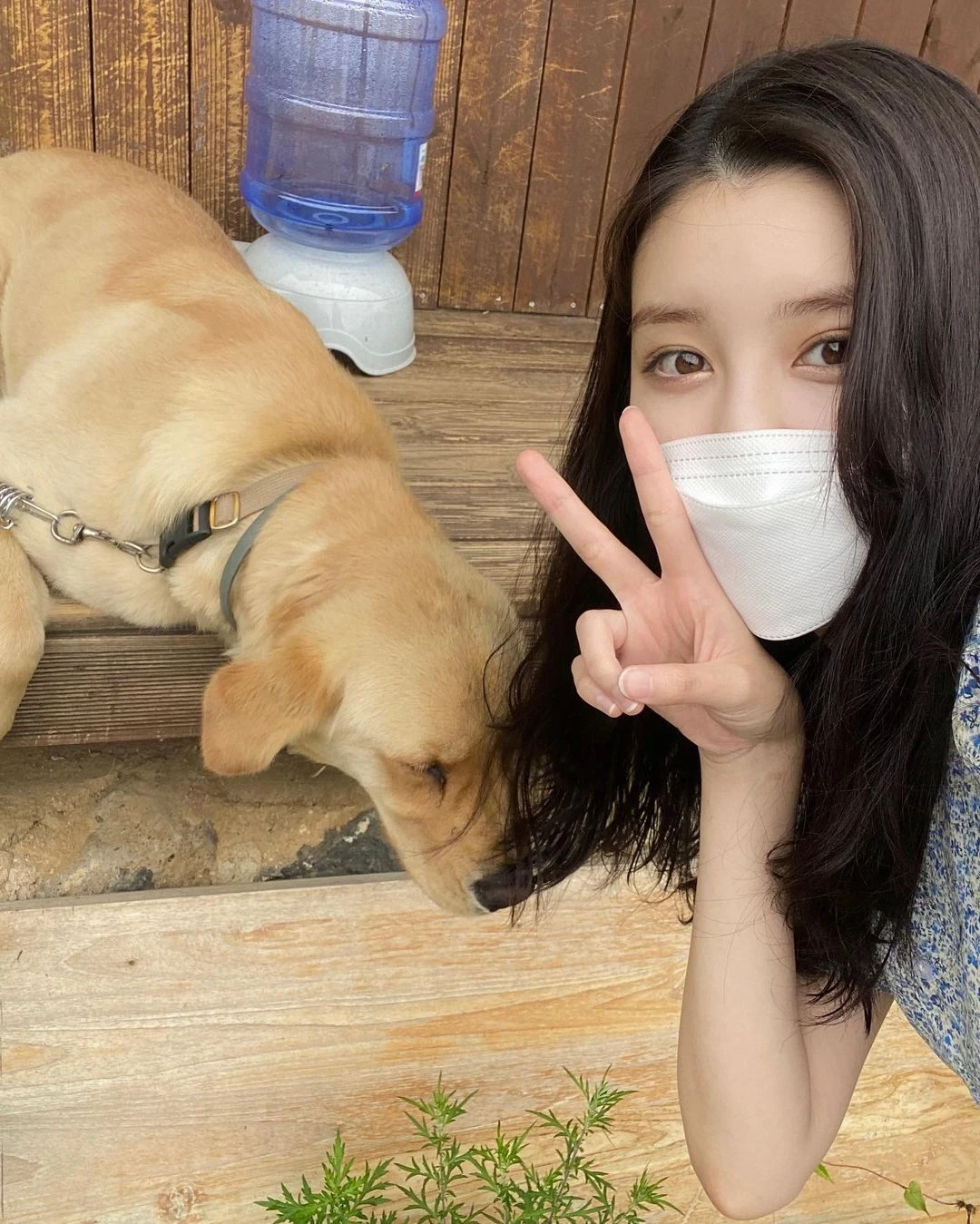 Soyee