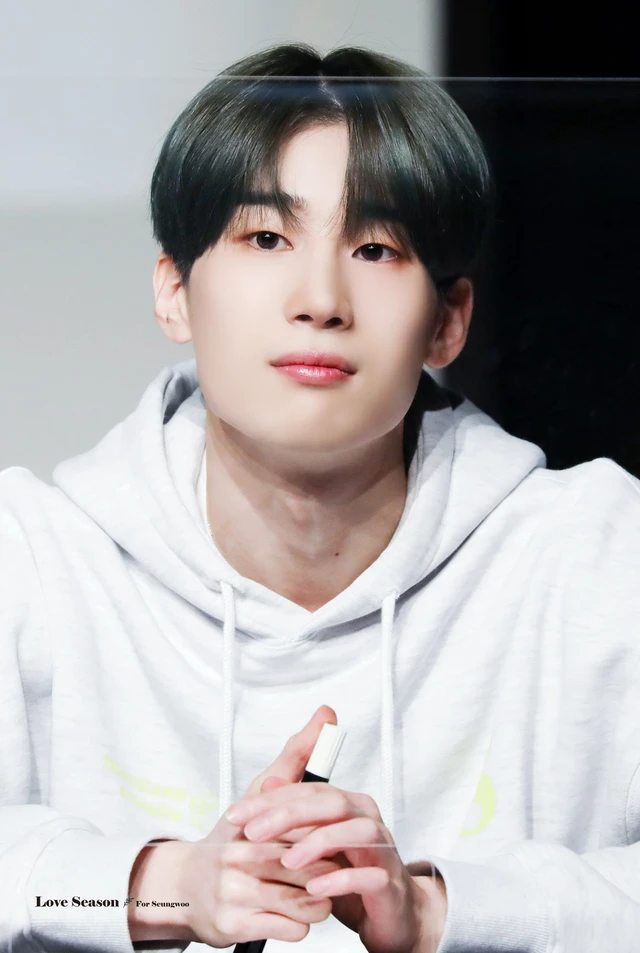 Seungwoo