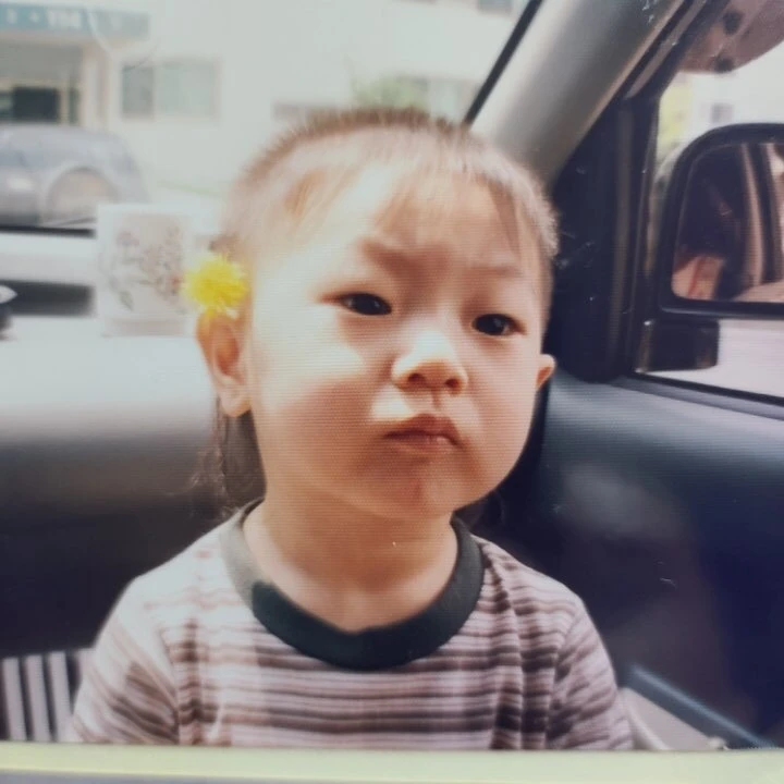 Hanse