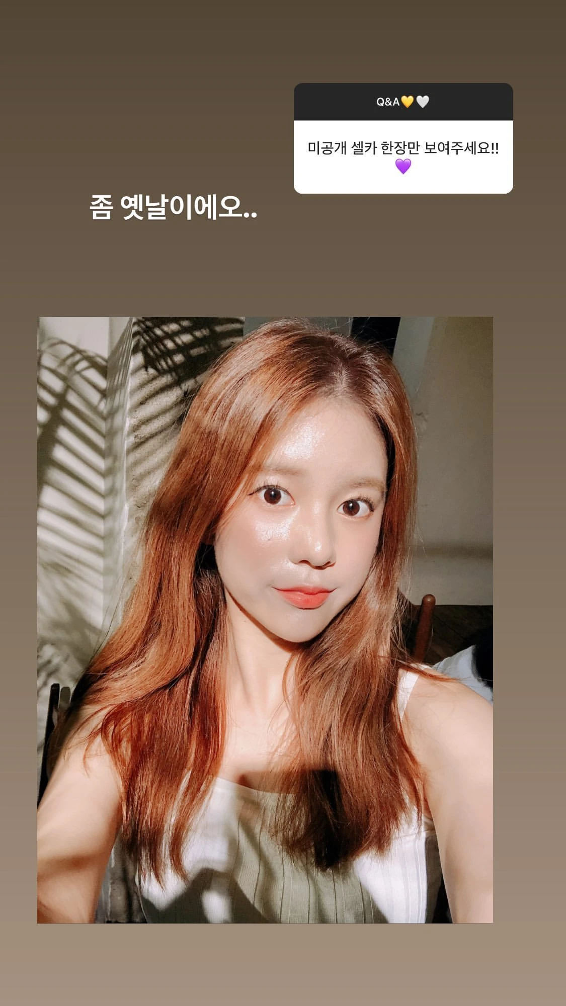 Daisy