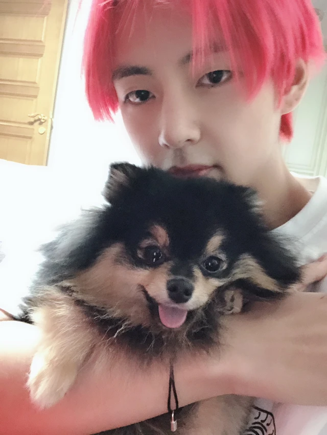 V