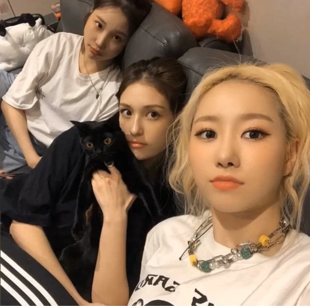JooE