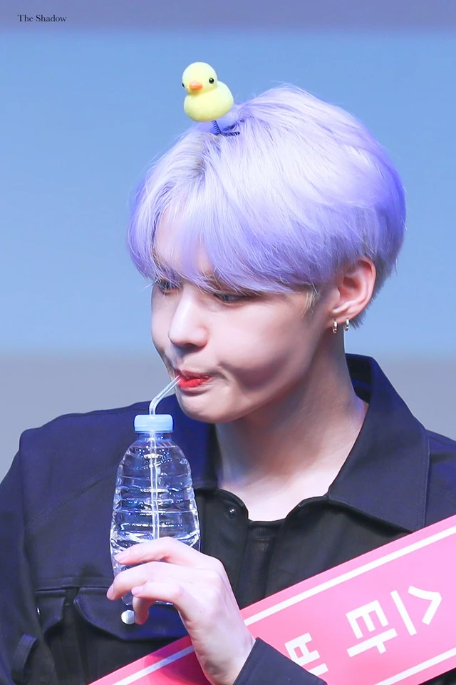 Sejun
