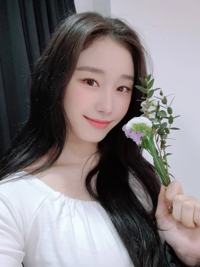 Chaesol