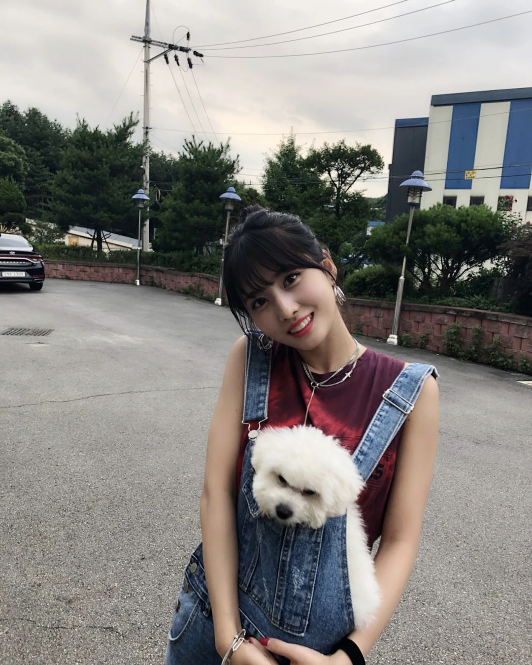 Momo