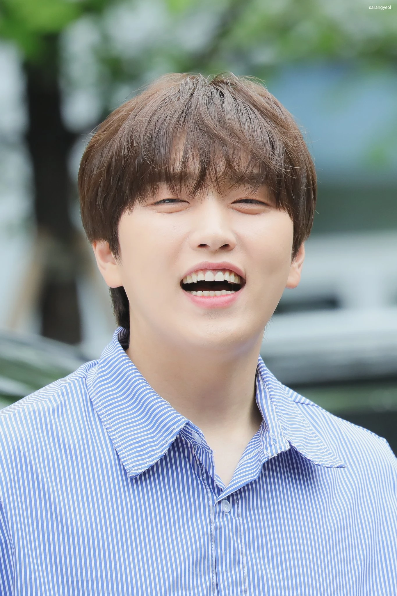 Sandeul