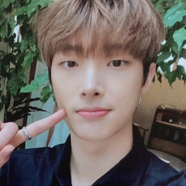 Mingi