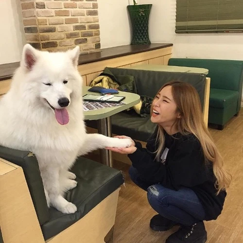 Heize