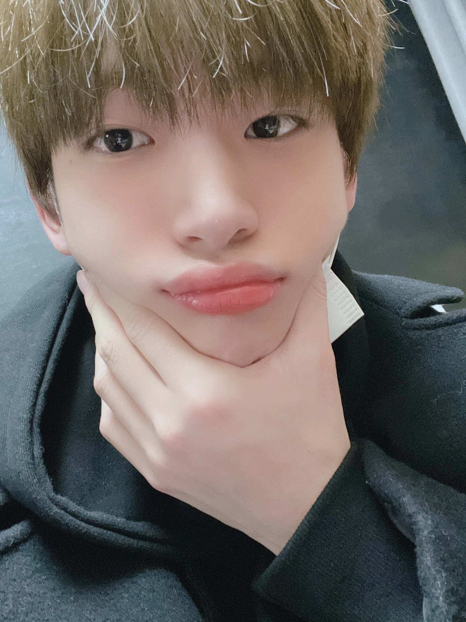 Jungmo
