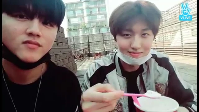 Chani