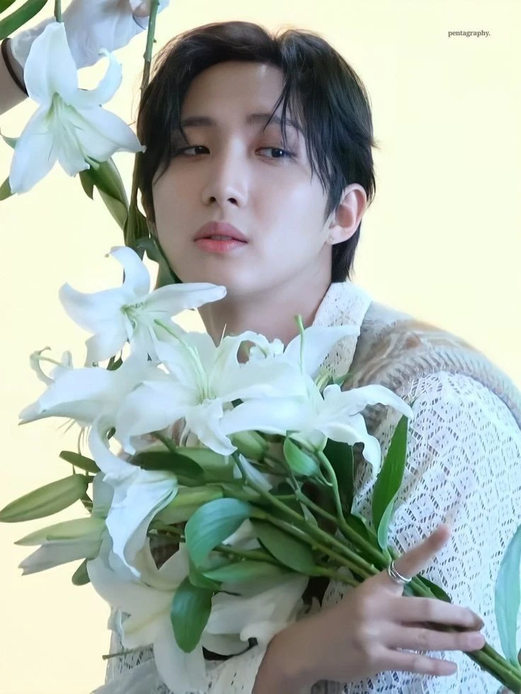 Hui