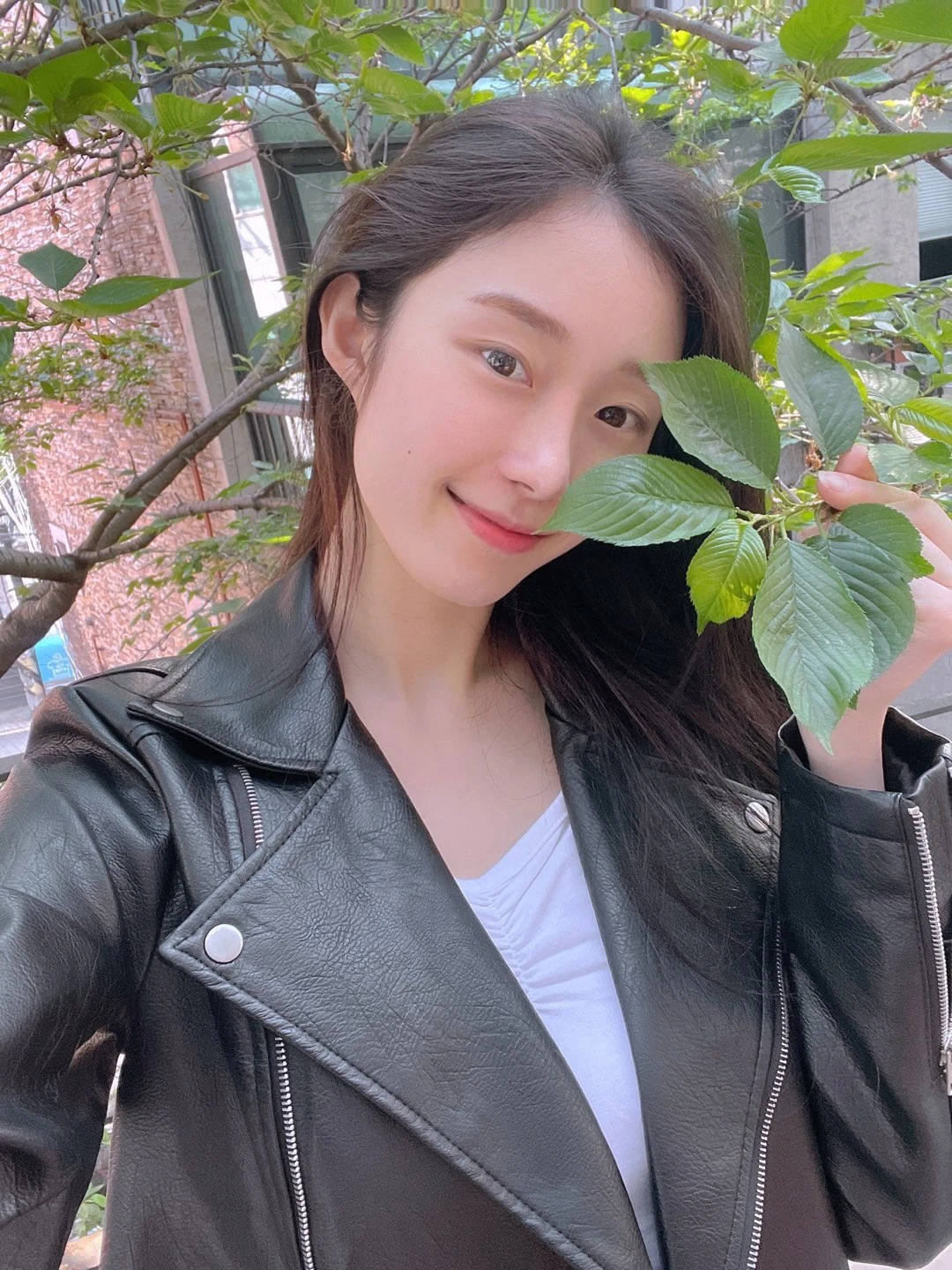 Chaesol