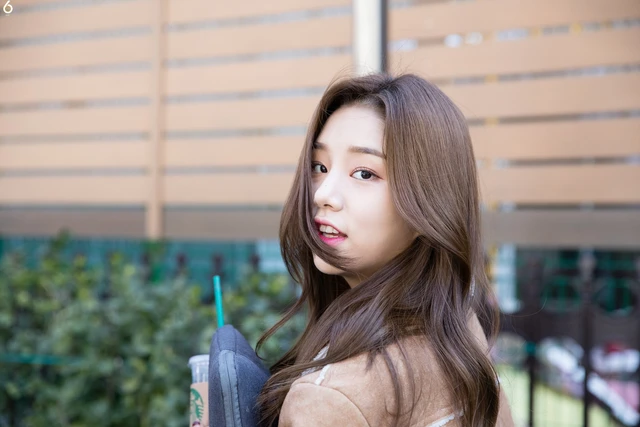 Solbin