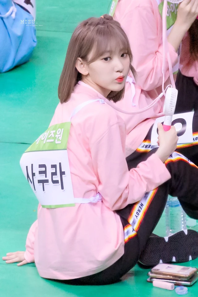Sakura