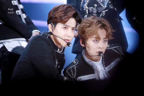 Exo-CBX