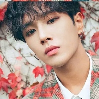 Wenhan