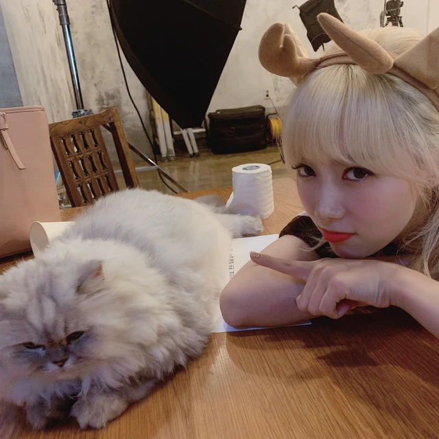 Handong