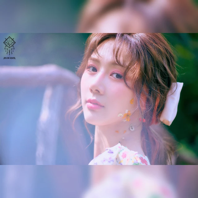 Dreamcatcher