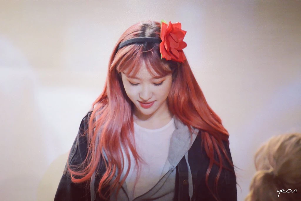 Hani