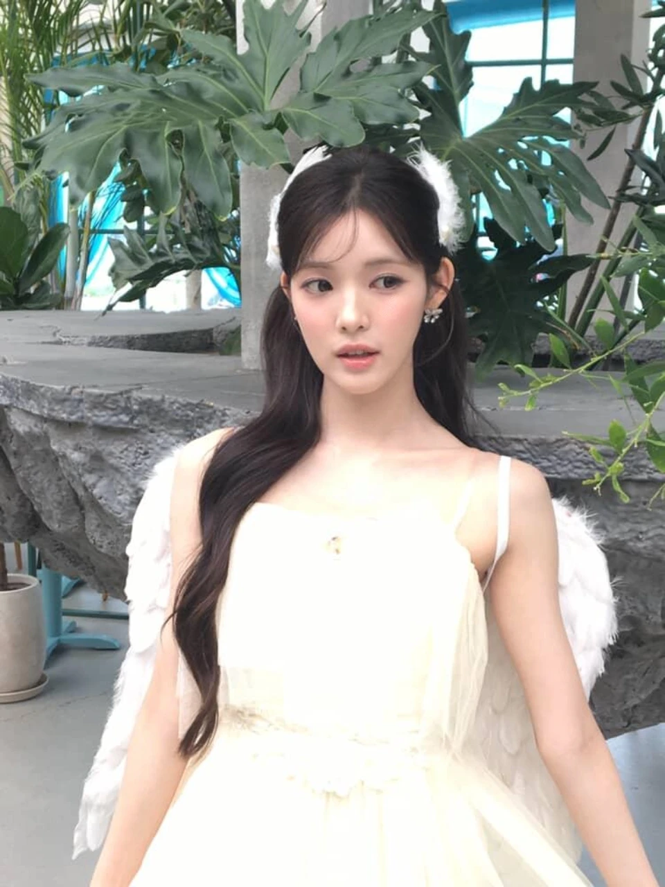 Yuha